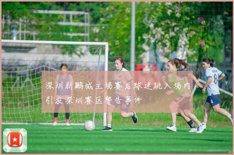 深圳新鹏城主场赛后球迷跳入场内引发深圳赛区警告事件