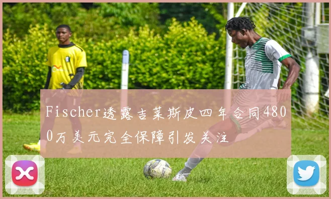 Fischer透露吉莱斯皮四年合同4800万美元完全保障引发关注